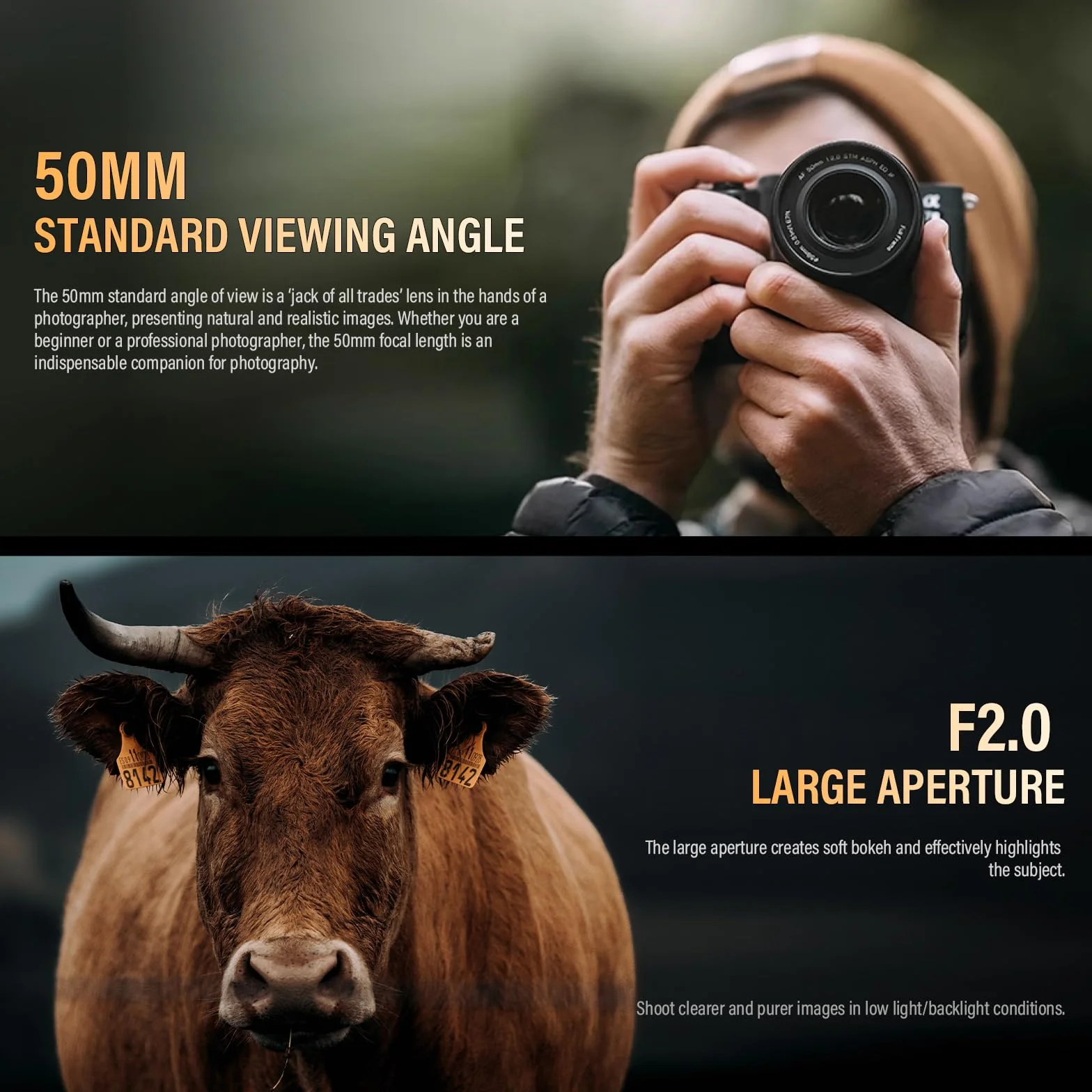 VILTROX 50 mm F2.0 Full-Frame STM autofokus obiektywy do aparatu for Nikon Z Mount, obiektyw aparatu, duża przysłona, kompatybilna z for Nikon Z9, Z8, Z7, Z6, Z5, Z50, Z30, ZFC