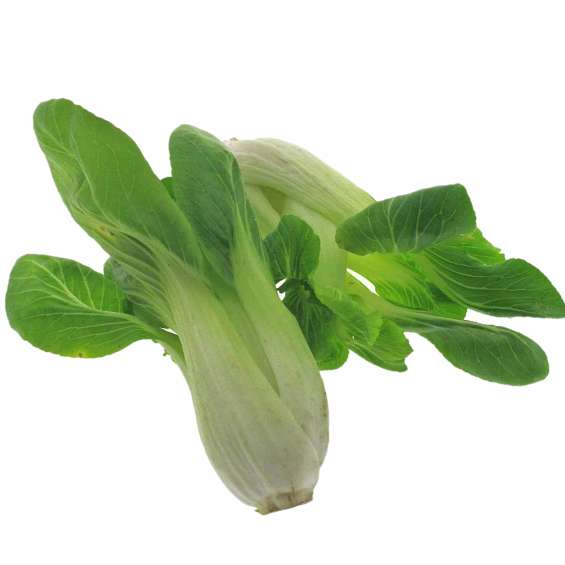 Pak Choi 'Tai Sai' (Brassica rapa subsp. chinensis) Organic - ok. 150 nasion