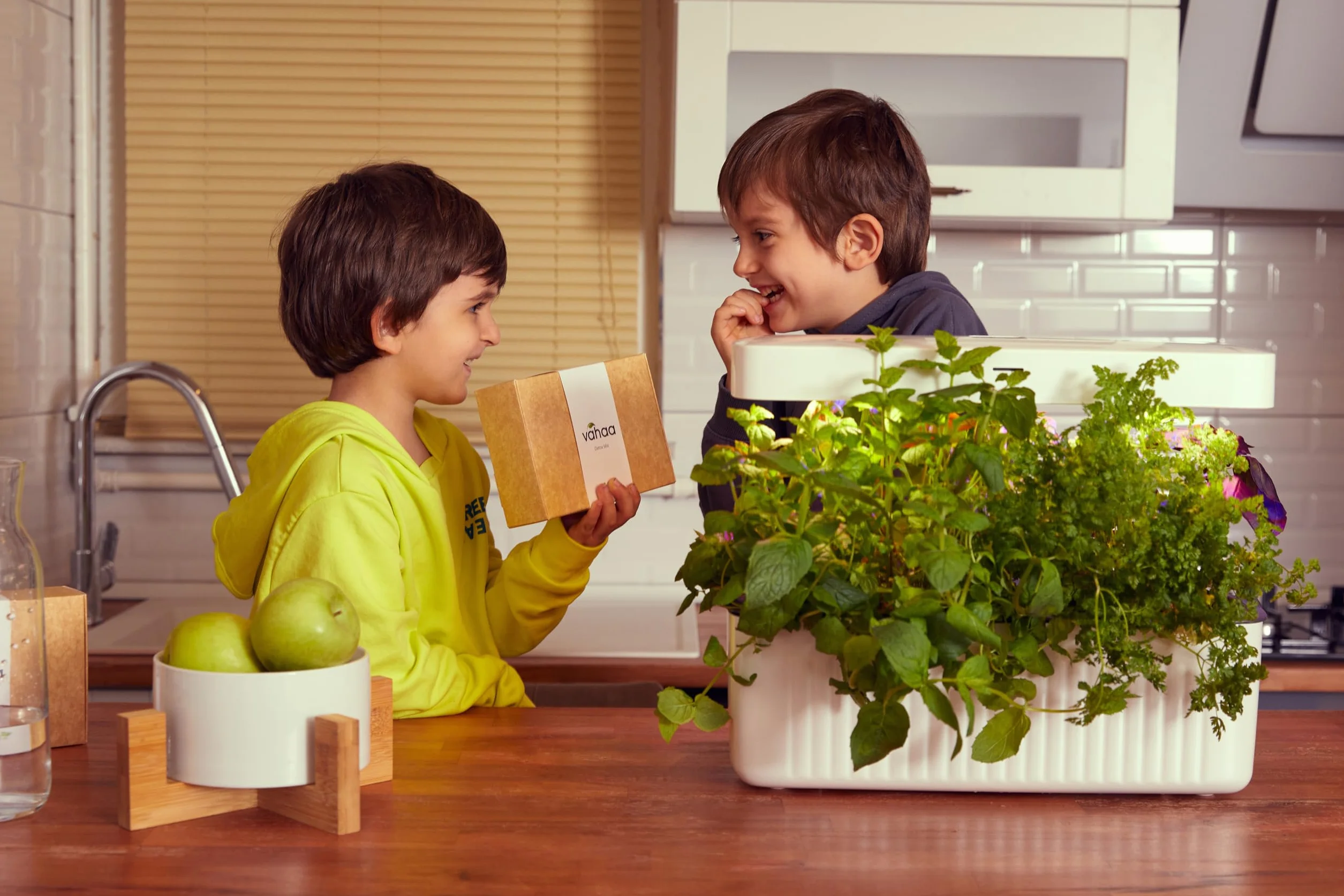 Zestaw do nasion Smart Garden Seed Pod Zestaw, Lettuce Mix, 6 sztuk, do użytku wewnątrz