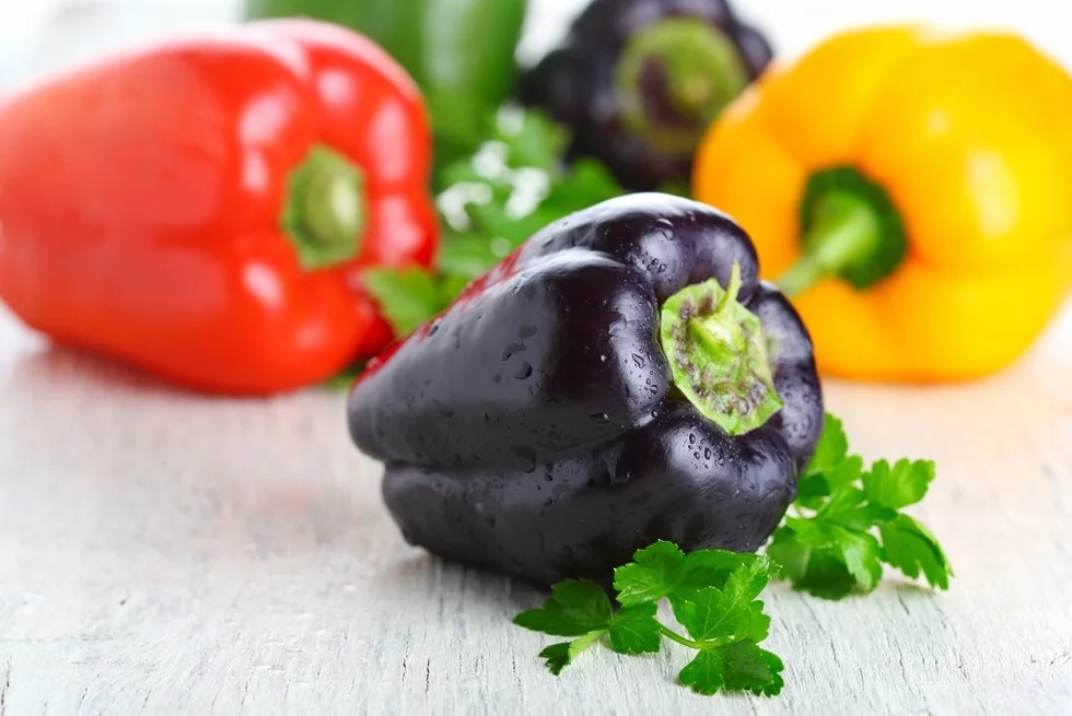 Sweet Pepper mieszane nasiona – pieprz capsicum