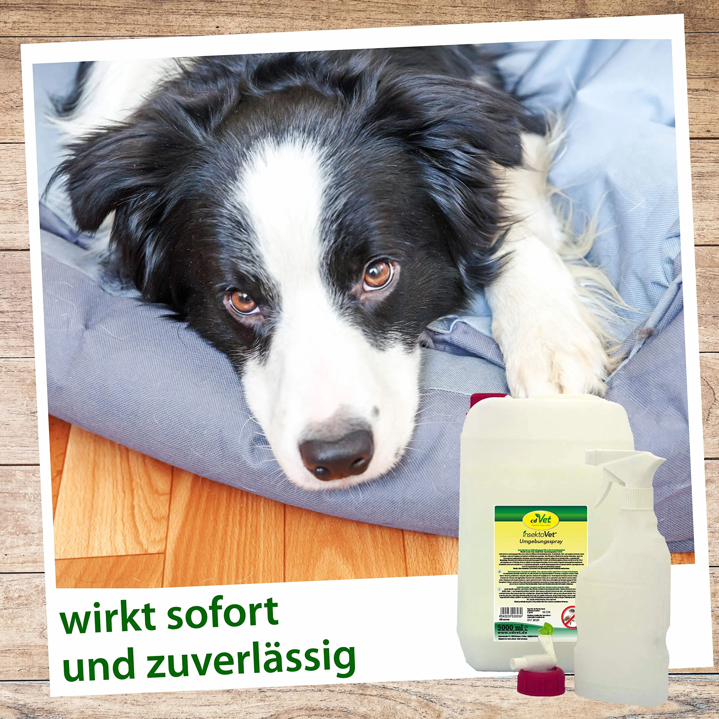 cdVet Naturprodukte FleaEx Umgebungsspray 100 ml - pies i kot - działa przeciwko pchłom, kleszczom, roztoczom - na wszystkich etapach rozwoju - walczy szczególnie w domu, cumowaniu, kocu, niezawodny -
