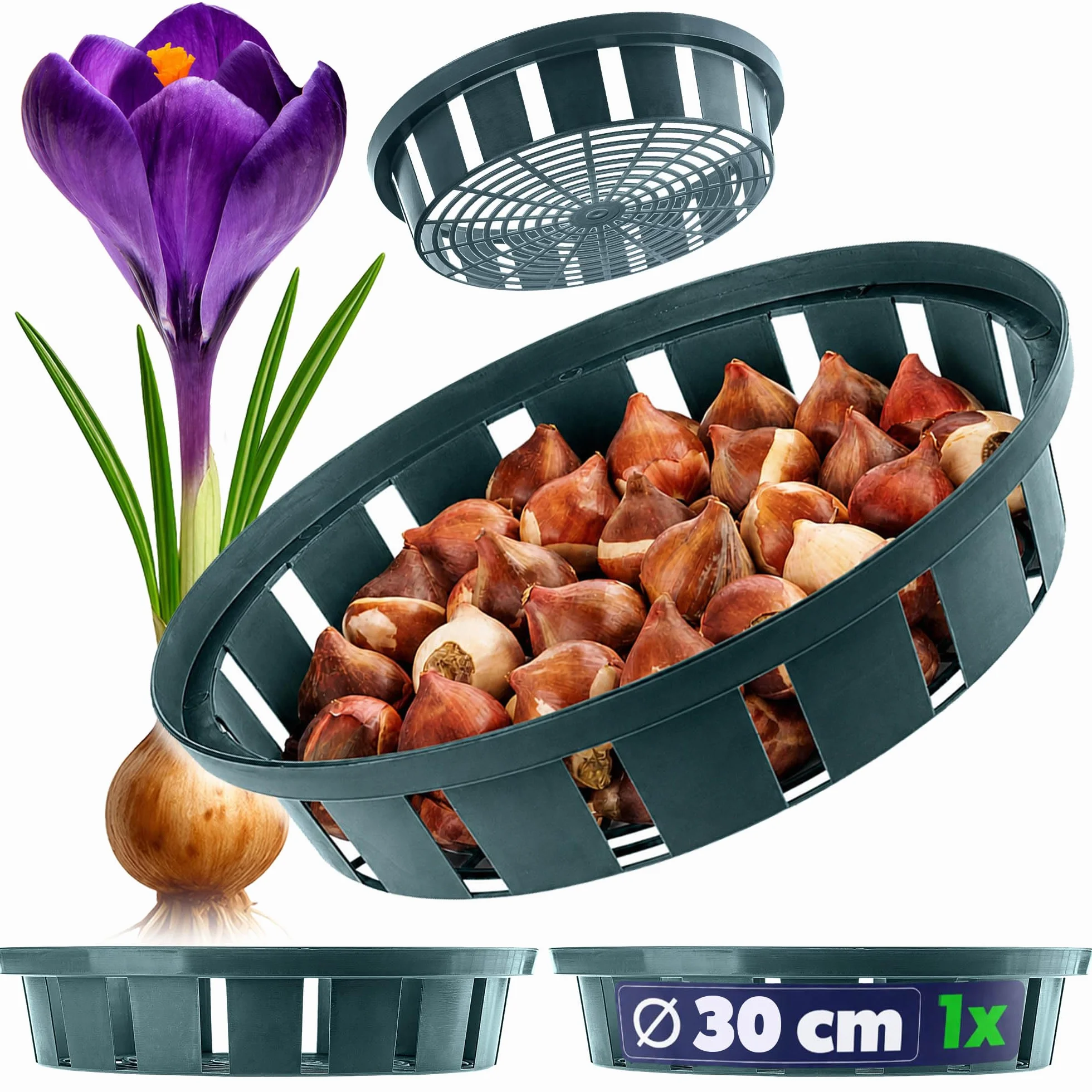 KADAX Kosz na rośliny na cebulki kwiatowe, plastikowy kosz do uprawy roślin warzywnych, kosz na cebulę kwiatową w 2 kształtach, do wiosennego kwitnienia (30 cm, okrągły, 1 sztuka)