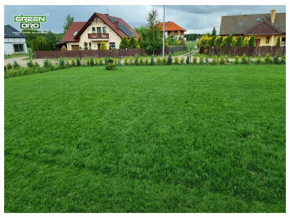 CHISSO SAI SEI 5KG Regeneracyjny nawóz do trawników