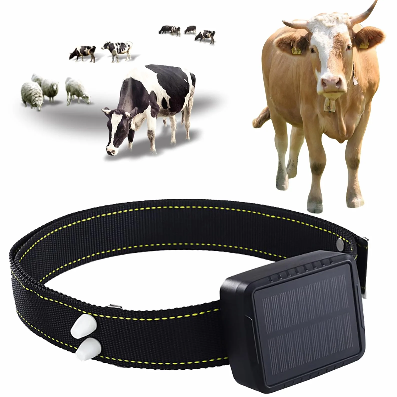 GPS Tracker, solarny lokalizator zwierząt, urządzenie zapobiegające zgubieniu 20000 mAh z wieloma funkcjami alarmowymi, historyczne odtwarzanie ścieżek, konstrukcja antykradzieżowa i wielokrotne