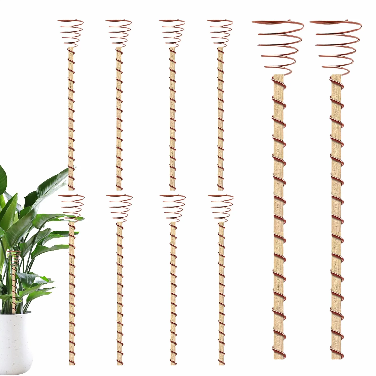 Antena miedziana do elektrokultury 35 cm spirali zestaw 10 drutów narzędzie ogrodowe