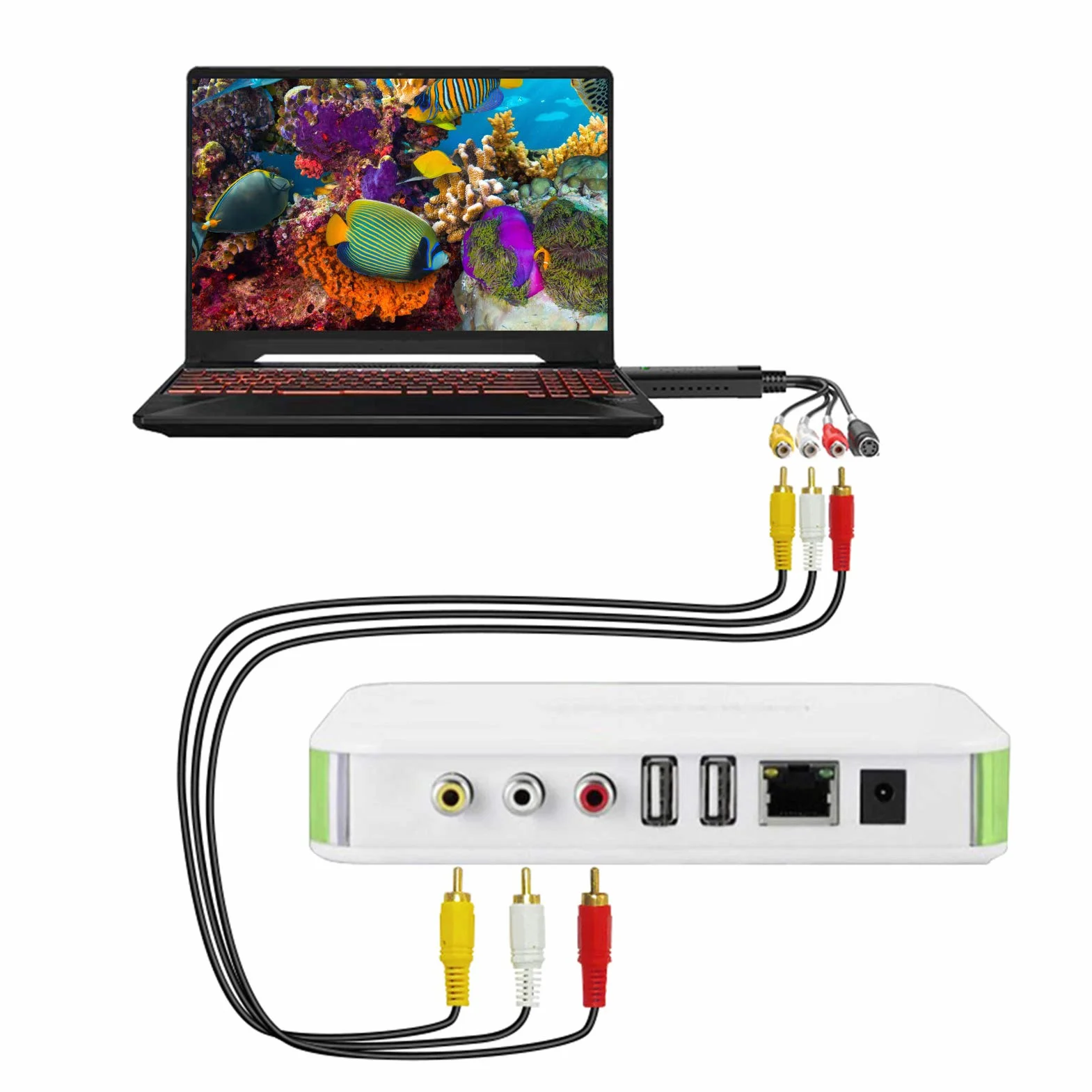 Karta przechwytywania USB 2.0 - AV/Composite i S-Video Audio Video Capture Card Karta do zbierania wideo dla systemu operacyjnego XP/Vista/7/8/10/Linux