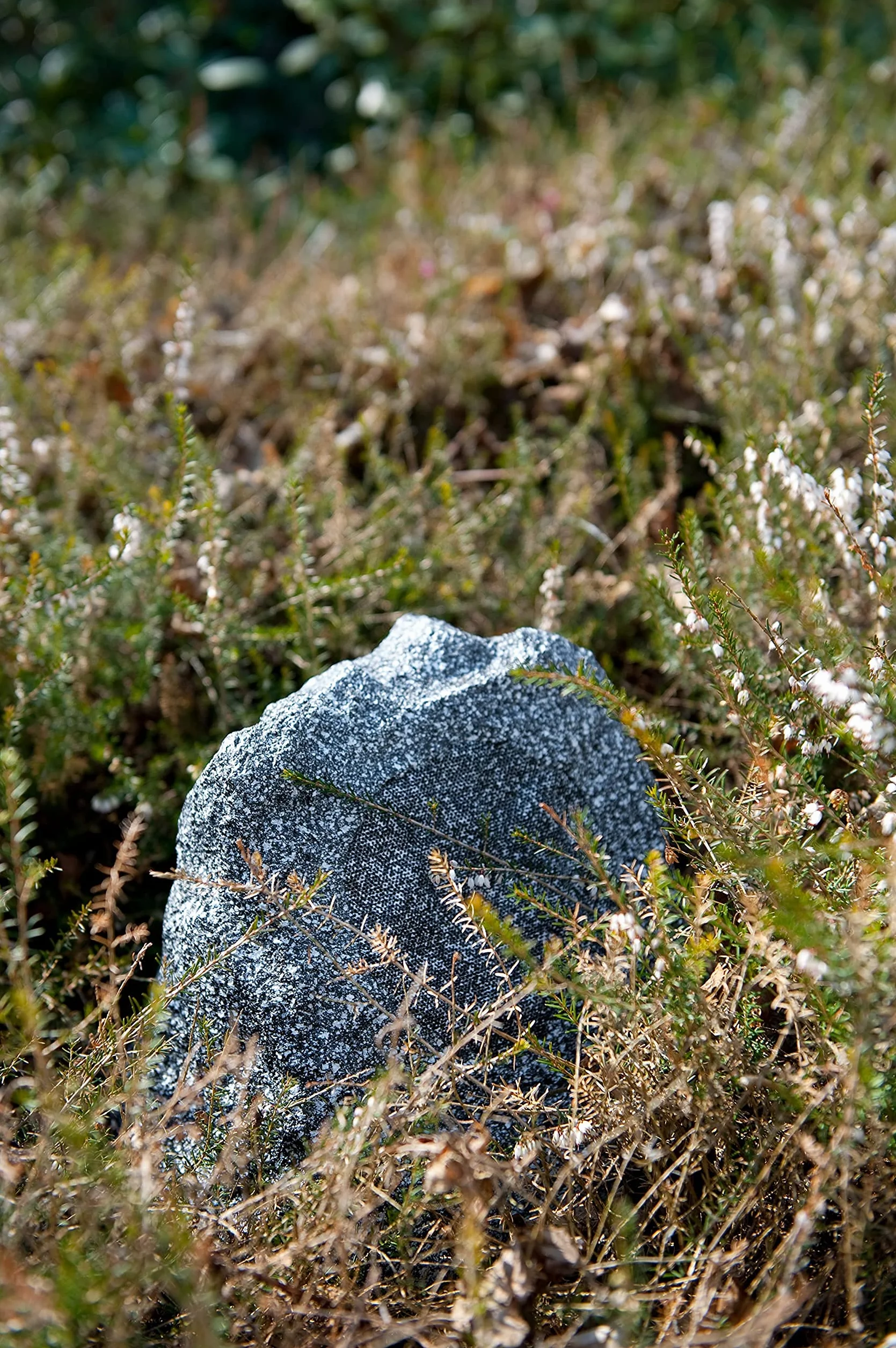 Artsound ROCK S – głośnik (2-way, 1.0 kanałów, 65 W, 50 – 2000 Hz, 8 Ω, szary)