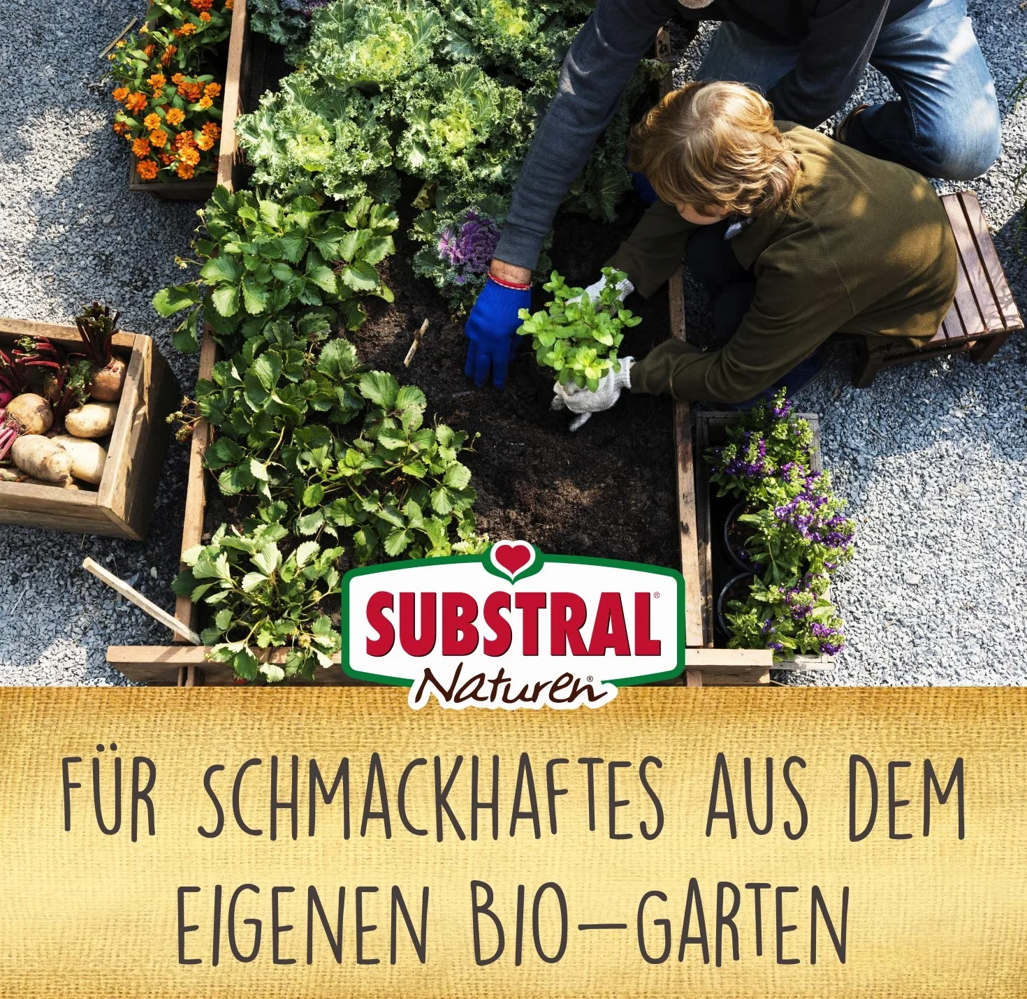 Substral Naturen ekologiczna ziemia do wysiewu i ziół, delikatna specjalna ziemia do wysiewów, pikników i sadzonek, 20 litrów
