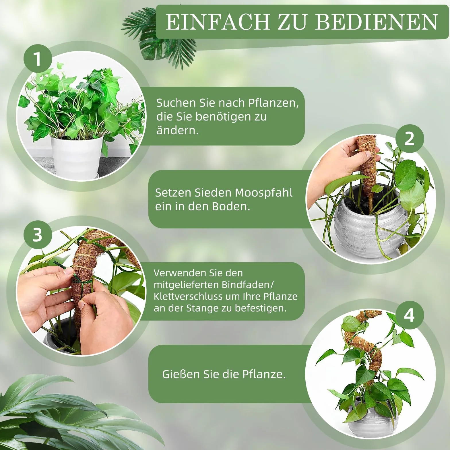 Podpórka wspinaczkowa Monstera 125cm, Kij mchowy dla Monstera z akcesoriami, Podpórka do roślin pokojowych, Wsparcie roślin dla roślin pnących w pomieszczeniach
