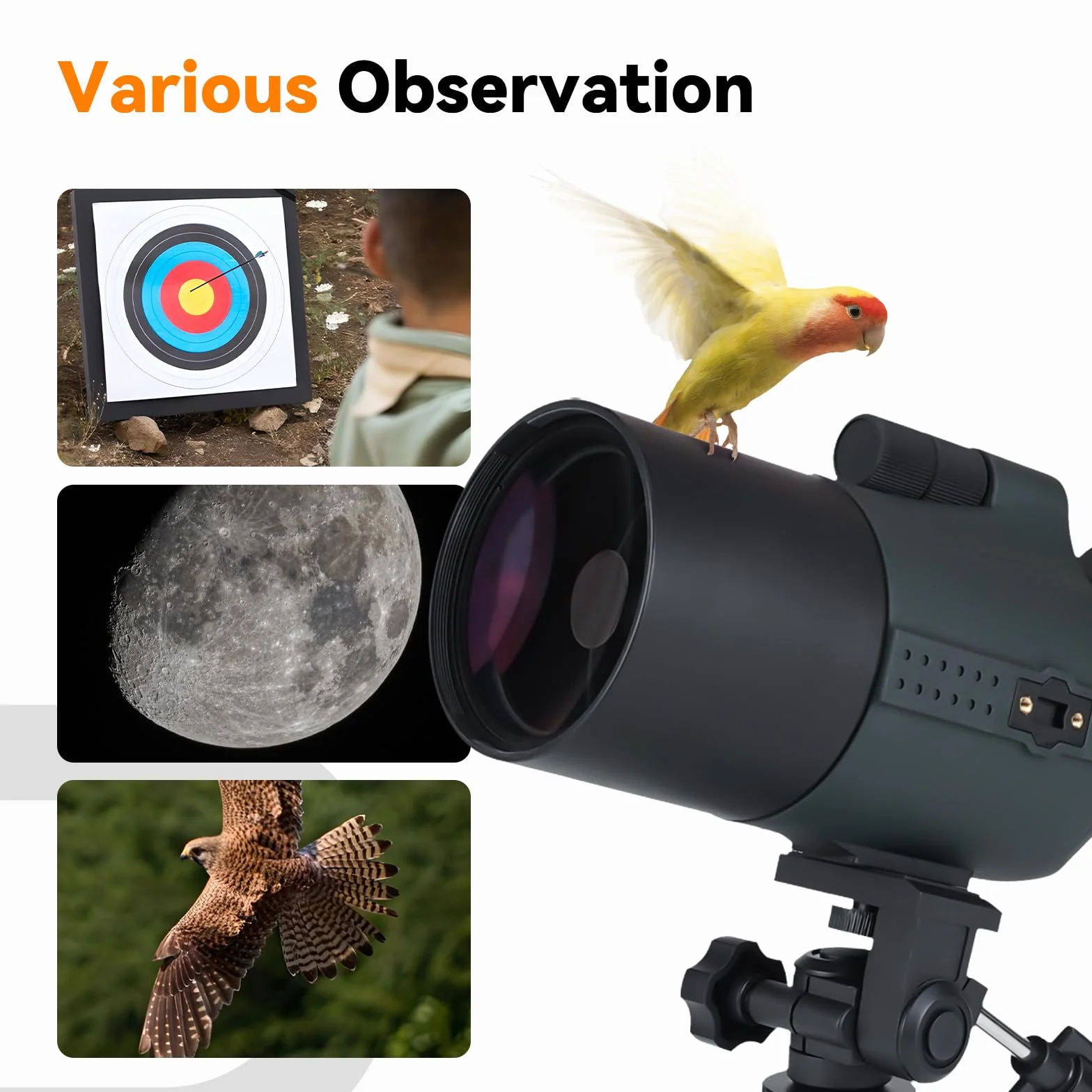 Svbony SV41Pro Mak Luneta Obserwacyjna ze Statywem, Finderscope i Mocowanie Celownika, 28-84X80 FMC Podwójna Prędkość Fokus, Odłączany Okular 1,25", Wodoodporny do Astronomiczny Obserwacja Księżycu