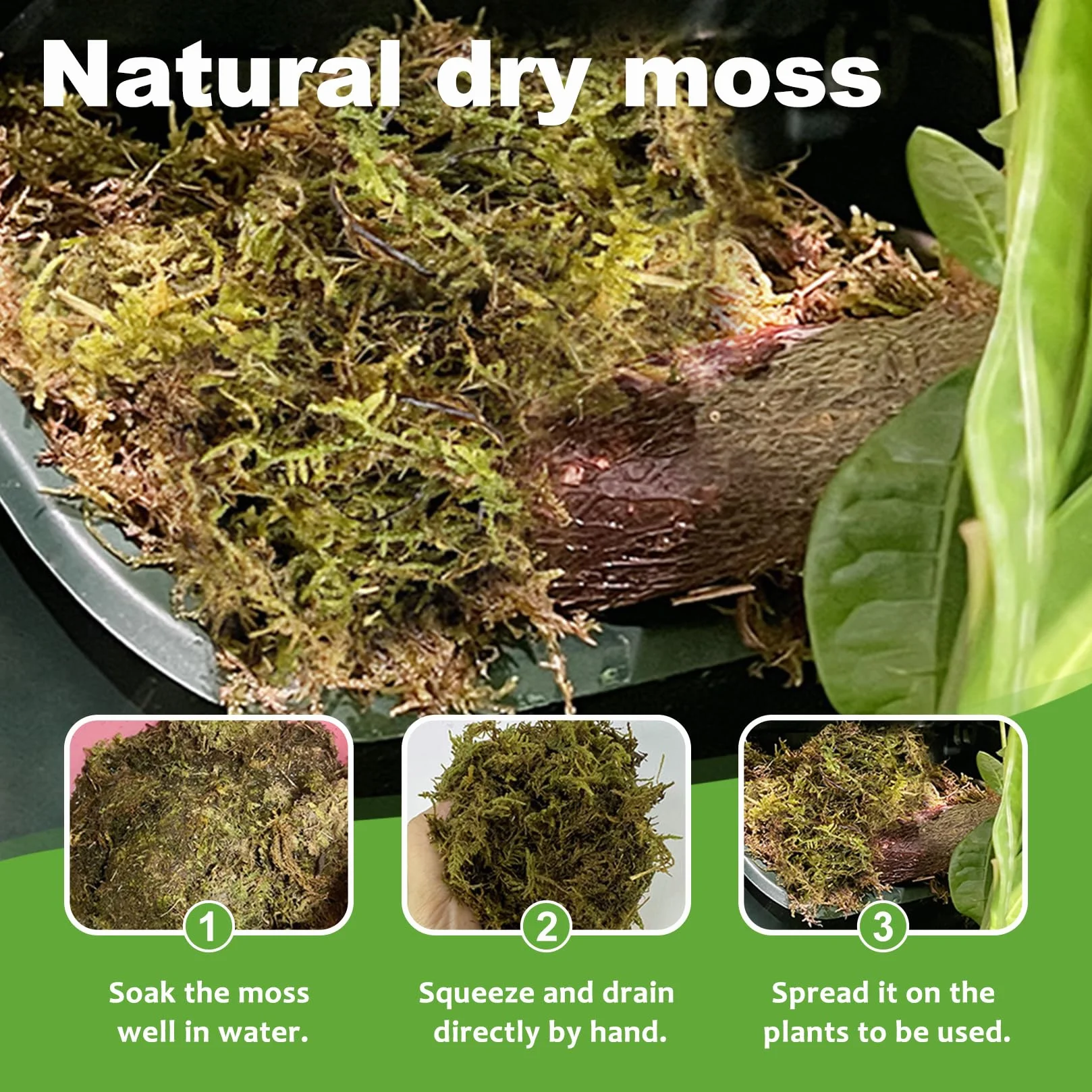 500g Mech Roślinny Torfowiec Naturalny Sprasowany Mech Torfowiec Dla Roślin Doniczkowych Orchidei Domowa Uprawa Roślin Kwiatowych