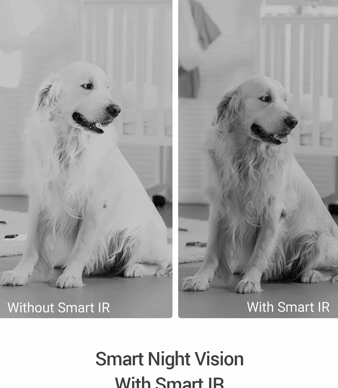 EZVIZ C6N Wewnętrzna kamera nadzoru WiFi 1080P, WiFi i Ethernet 360 ° Kamera IP Pan/Tilt Kompatybilna z Alexa, Night Vision z Smart IR, śledzenie ruchu, dwukierunkowy dźwięk