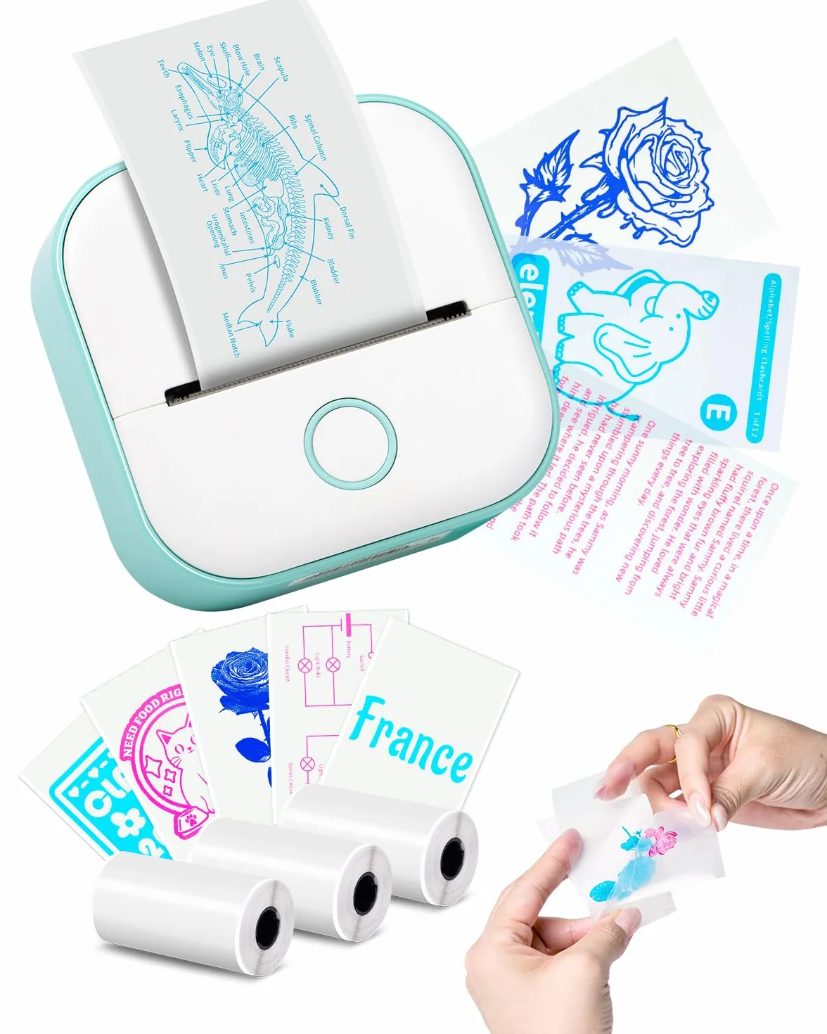 Mini Drukarka do Naklejek Memoking T02 Przenośna Drukarka Termiczna Drukarka Atramentowa Drukarka Kieszonkowa Drukarka Telefoniczna do Studia Graficznego, Schematów Anatomicznych, Zdjęć, Zielona
