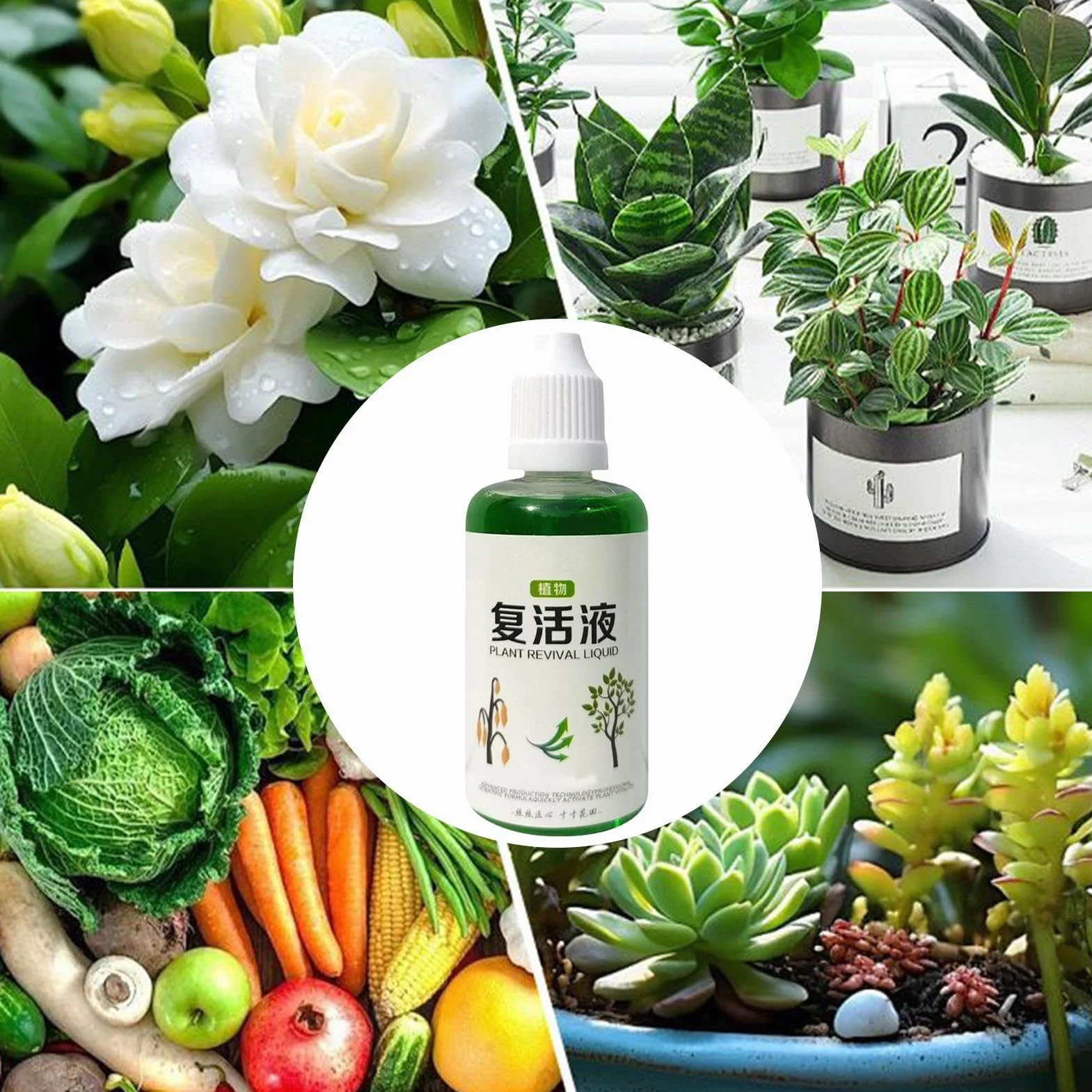 Stymulator Korzeni Nawóz Naturalny 50ml Do Systemu Korzeniowego Gleby Kwiatów