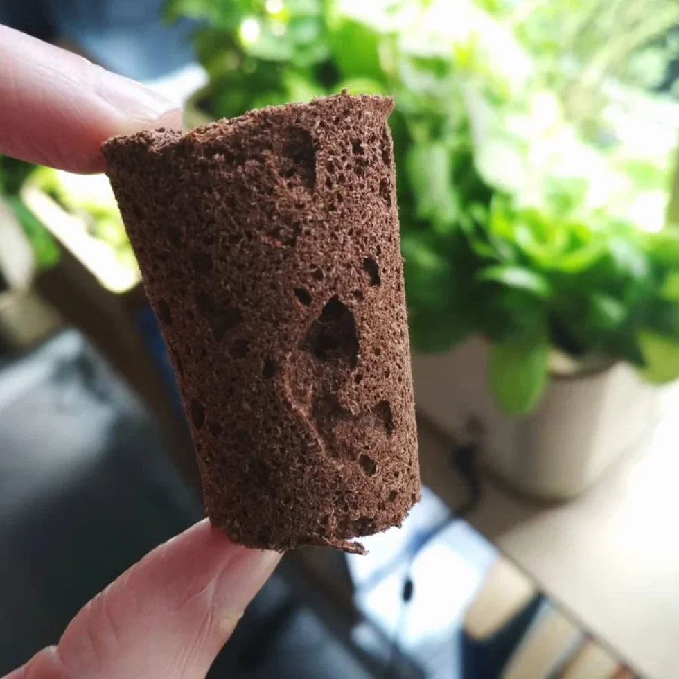 PlantPlugs kwartet do sałatek 8 sztuk