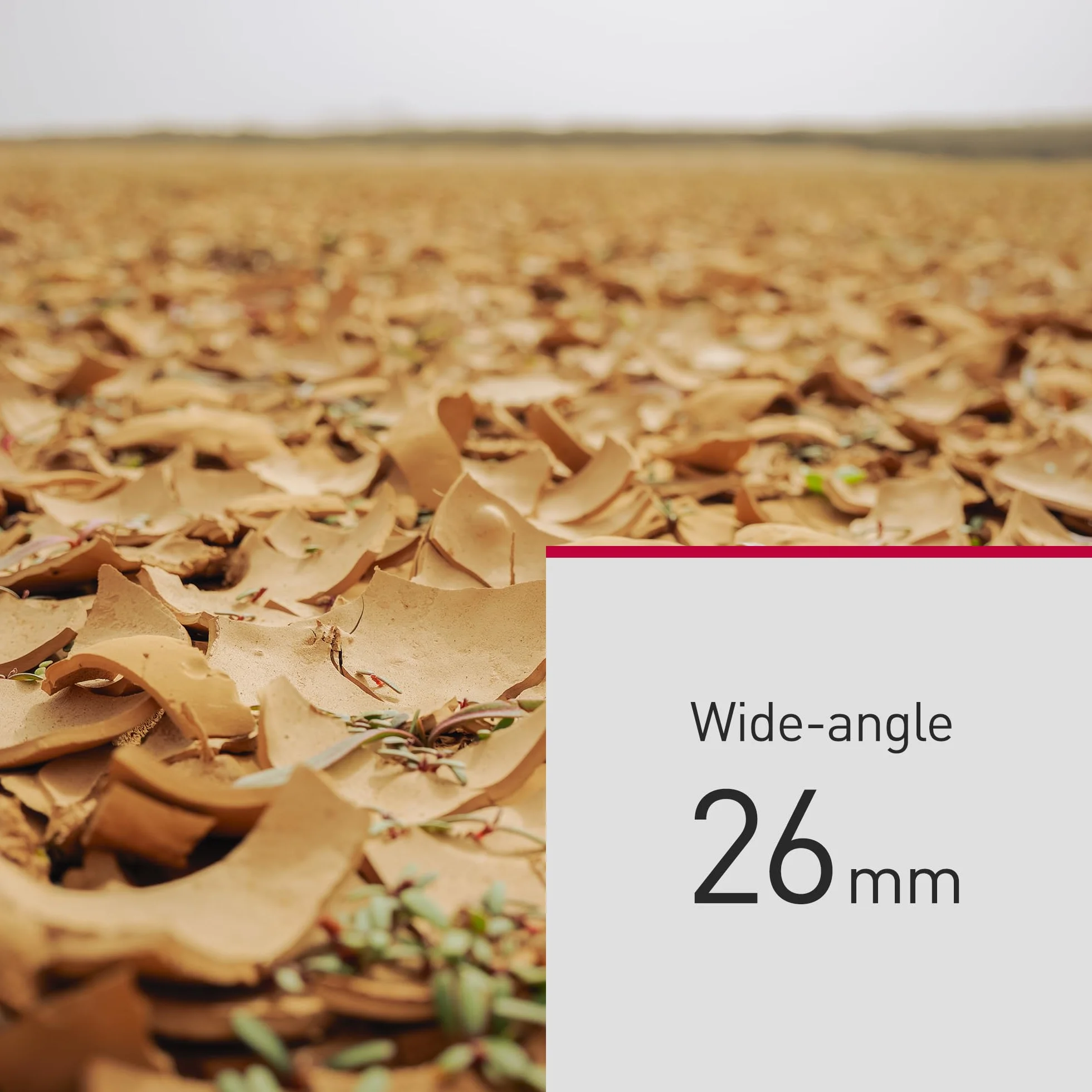 PANASONIC Objectif Lumix S 26mm f/8 Pancake