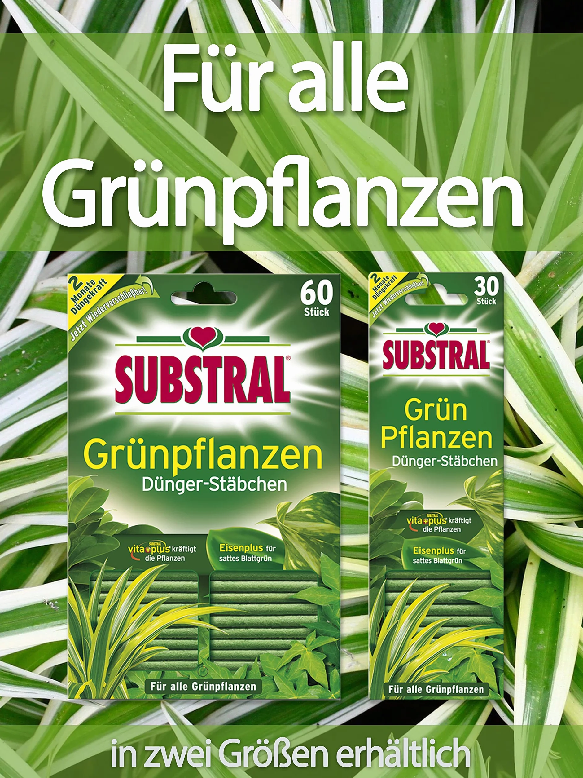 Substral 8740525 Nawóz w Pałeczkach do Roślin Zielonych, Zielony, 60 Sztuk