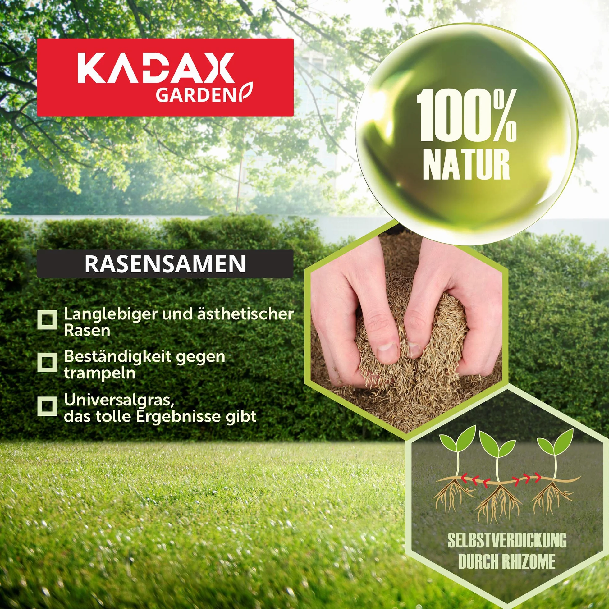 KADAX mieszanka nasion trawy uniwersalna 400 m² 10 kg