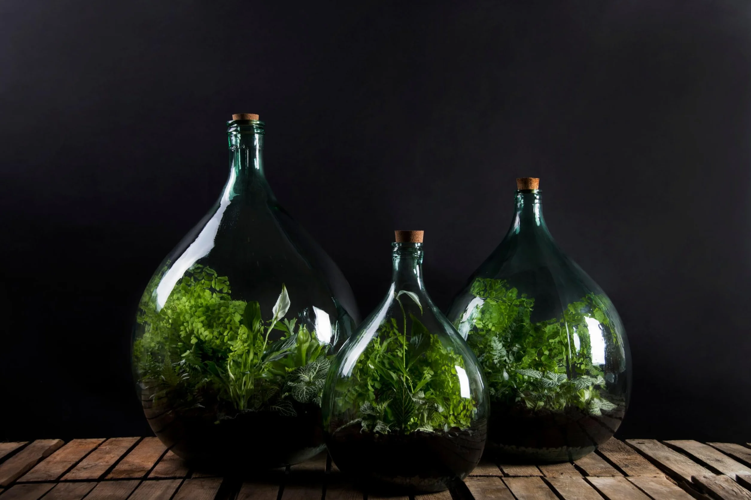Esschert Set 2 Narzędzia do Terrarium