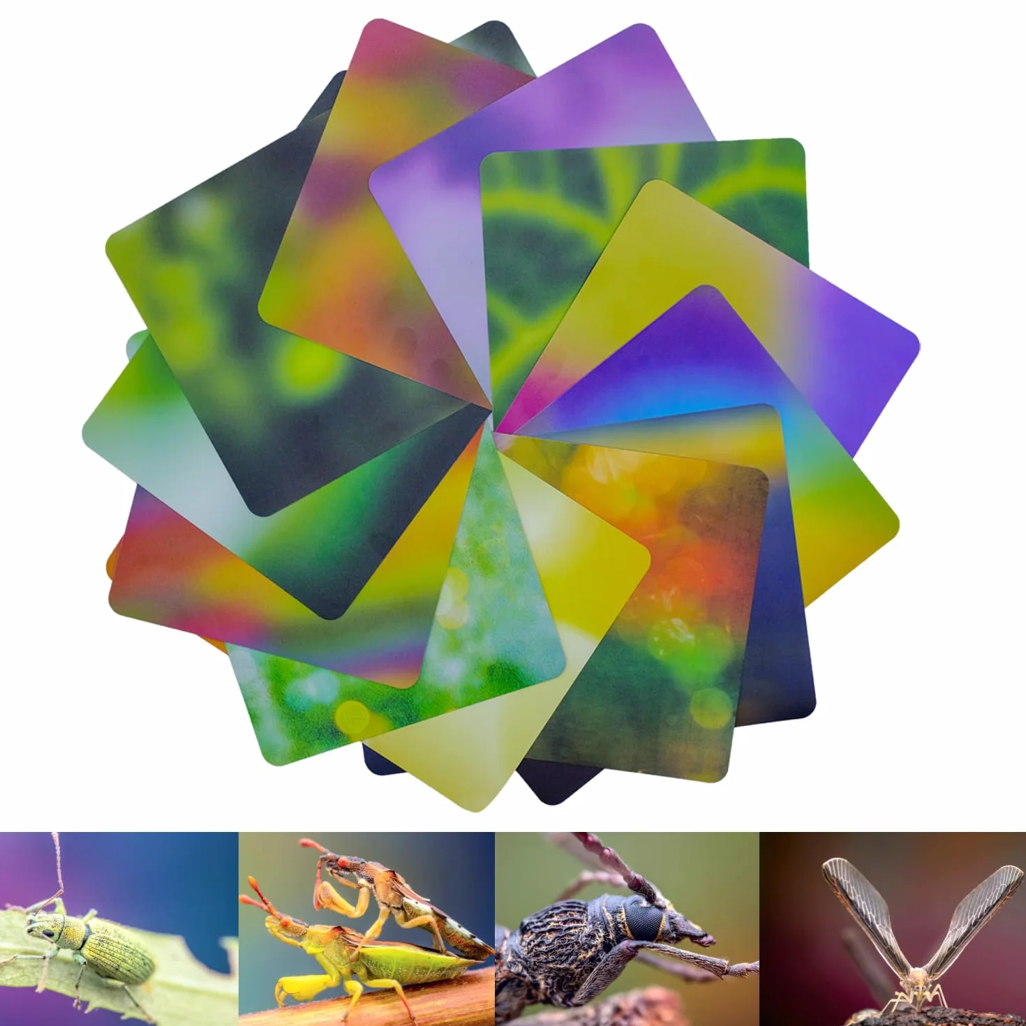 Guage zestaw kart do makrofotografii, 12 sztuk, 24 kolory (21 x 15 cm), materiał pochłaniający światło, ekologiczne rozmycie tła do fotografii makro (rozmiary A5N, 12 szt., 24 kolory)