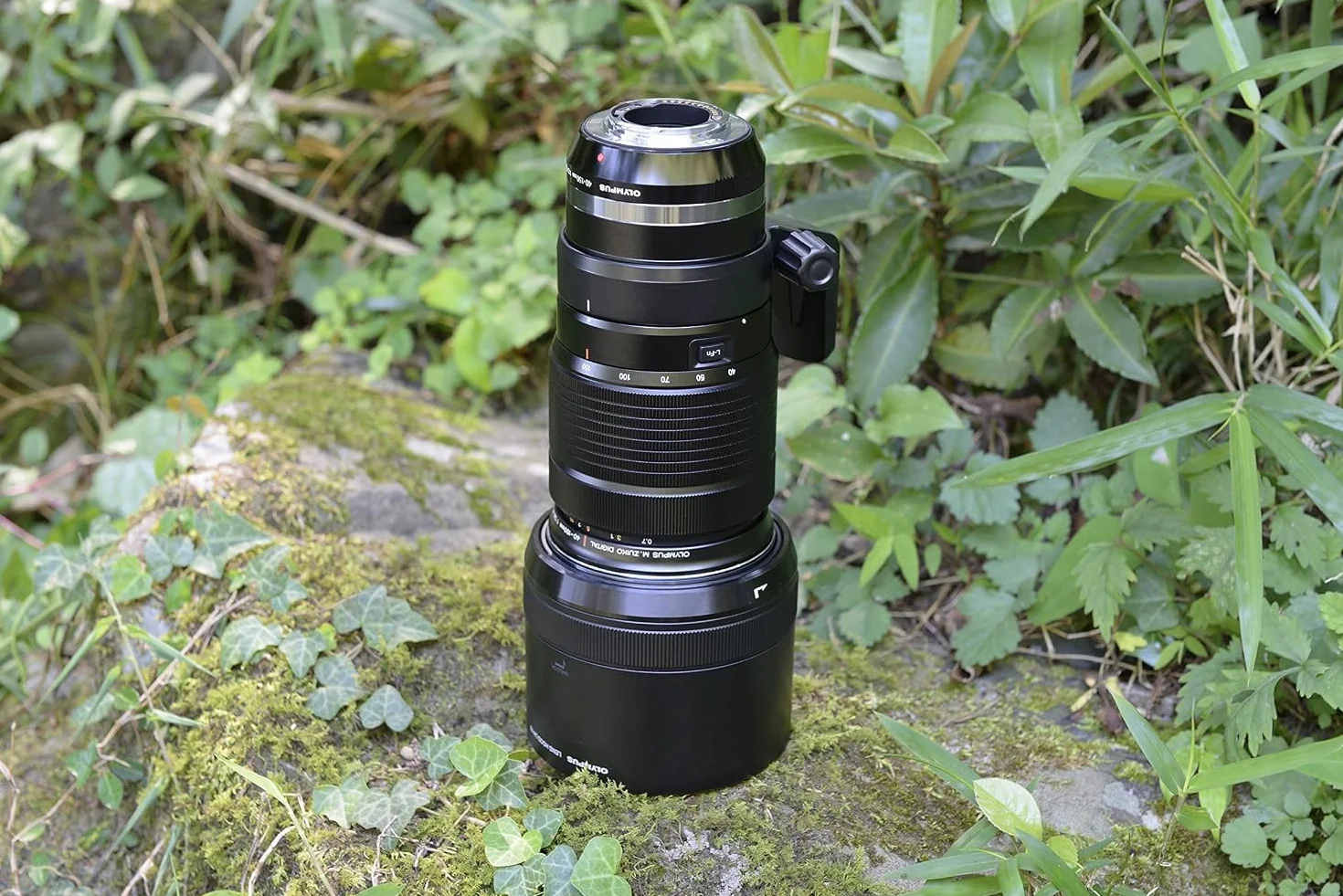 Olympus M.Zuiko Digital ED 40-150 mm F2.8 PRO - Teleobiektyw MFT, Czarny | Jasny obiektyw zmiennoogniskowy do OM SYSTEM i Panasonic G. Uszczelniona obudowa, szybki autofokus i bokeh.