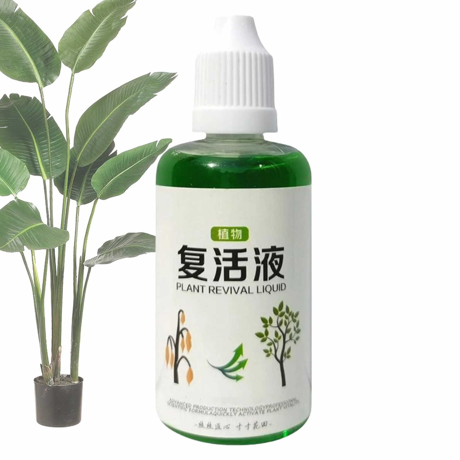 Stymulator Korzeni Nawóz Naturalny 50ml Do Systemu Korzeniowego Gleby Kwiatów