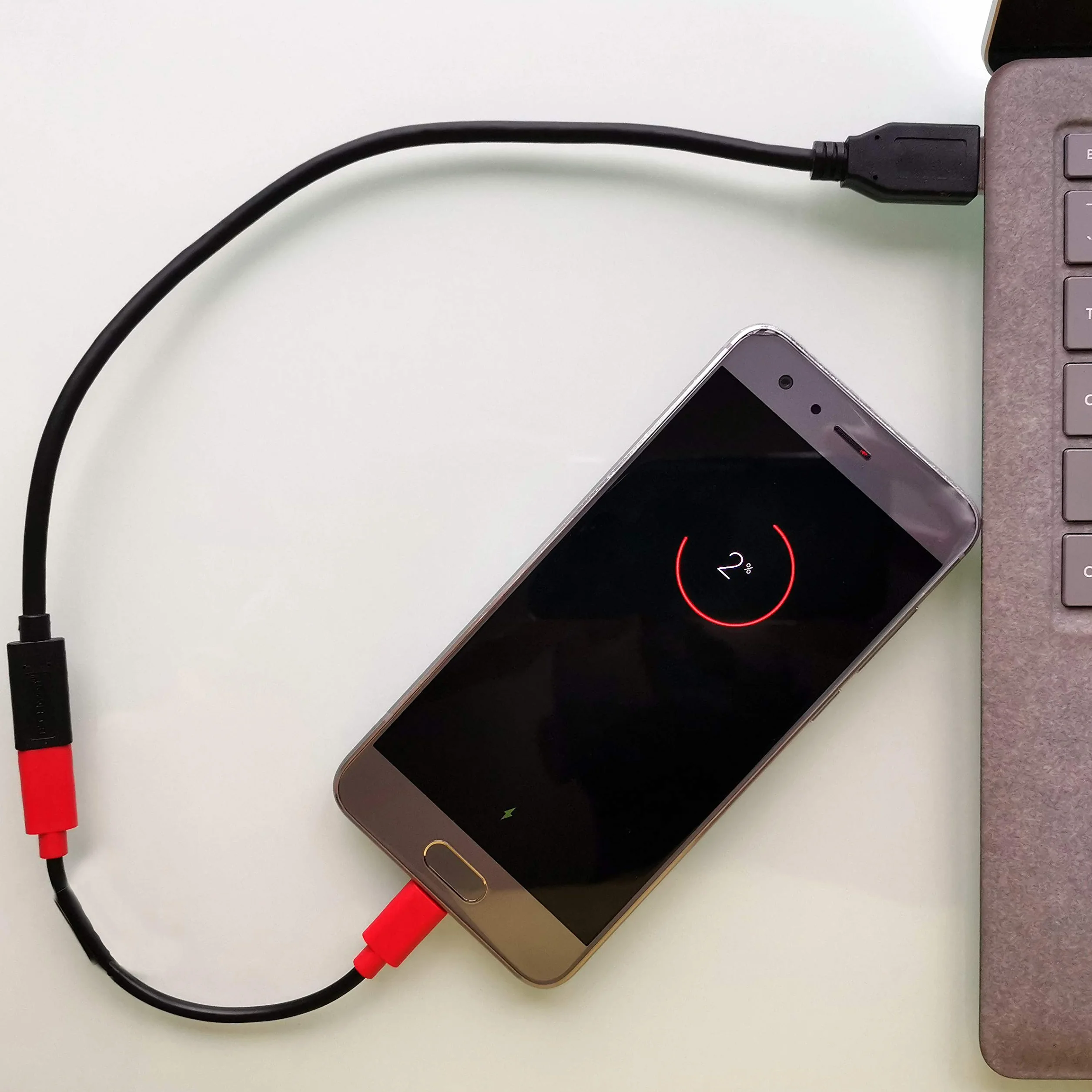 PortaPow USB-C Bloker danych (pakiet dwóch sztuk)