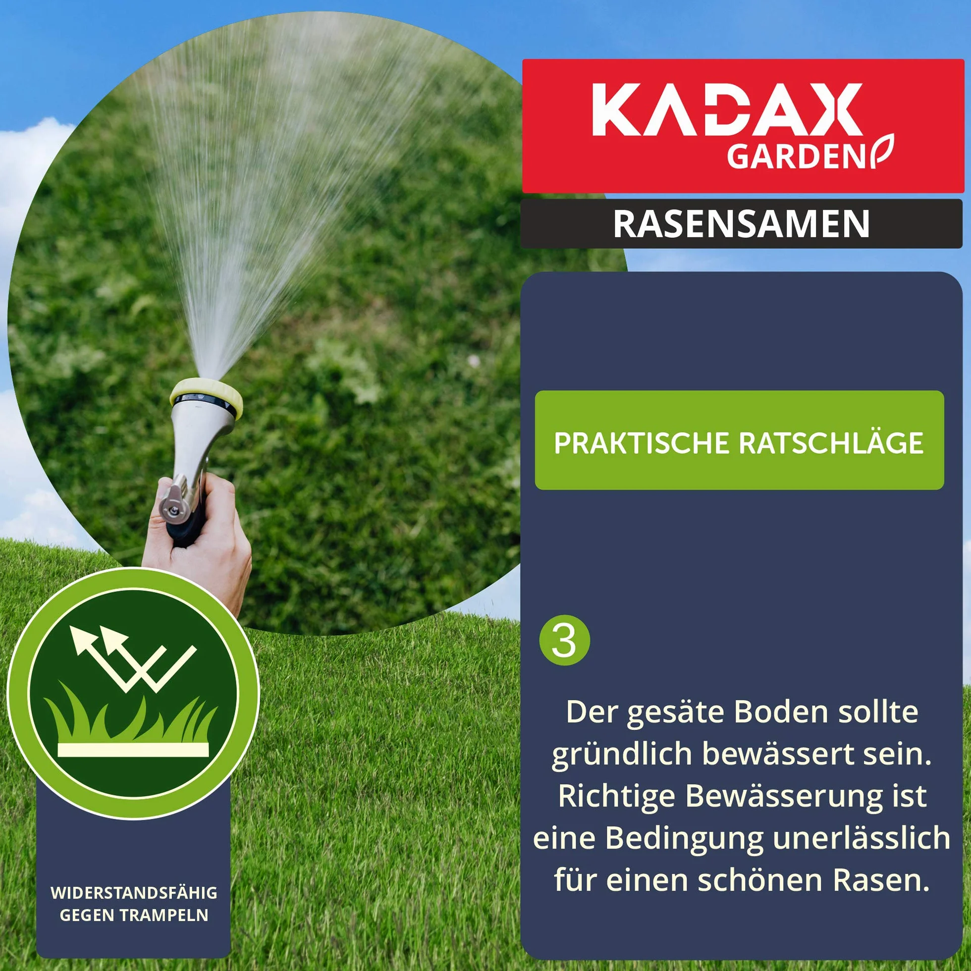 KADAX mieszanka nasion trawy uniwersalna 400 m² 10 kg
