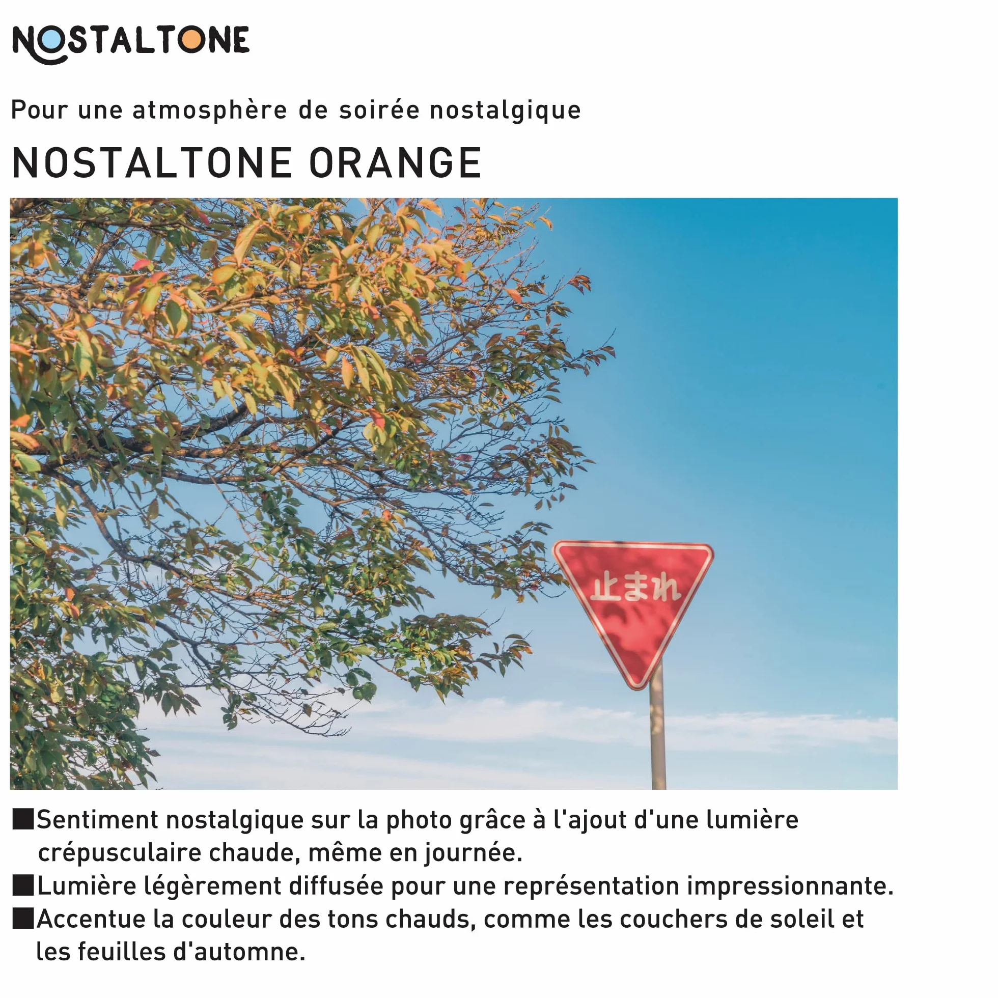 Kenko Filtr o miękkim efekcie NOSTALTONE Orange Ø 49 mm, z efektem koloru, do regulacji kontrastu, wyprodukowany w Japonii