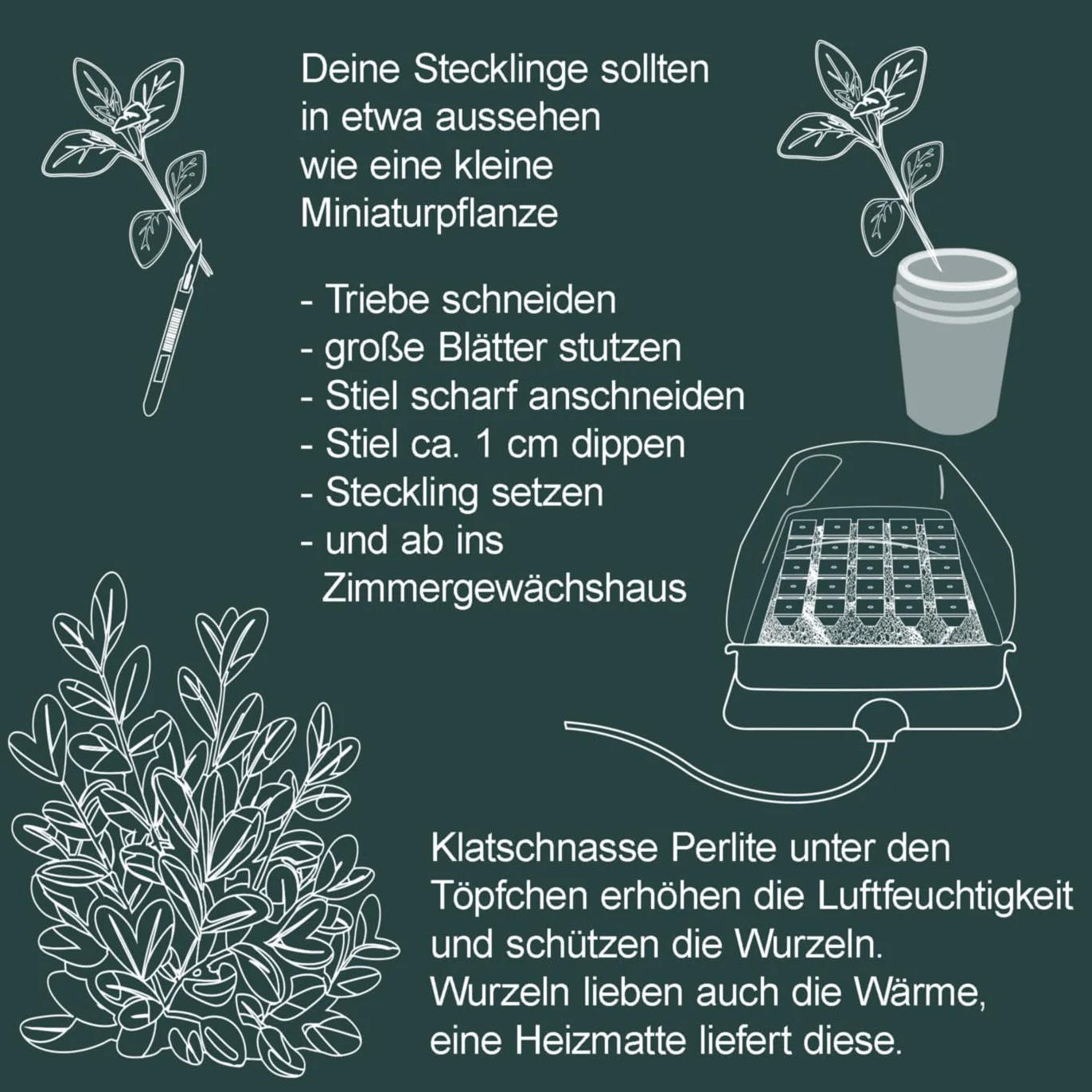 HUBEY Bio Rooting Gel środek do ukorzeniania sadzonek do rozmnażania roślin, 70 ml