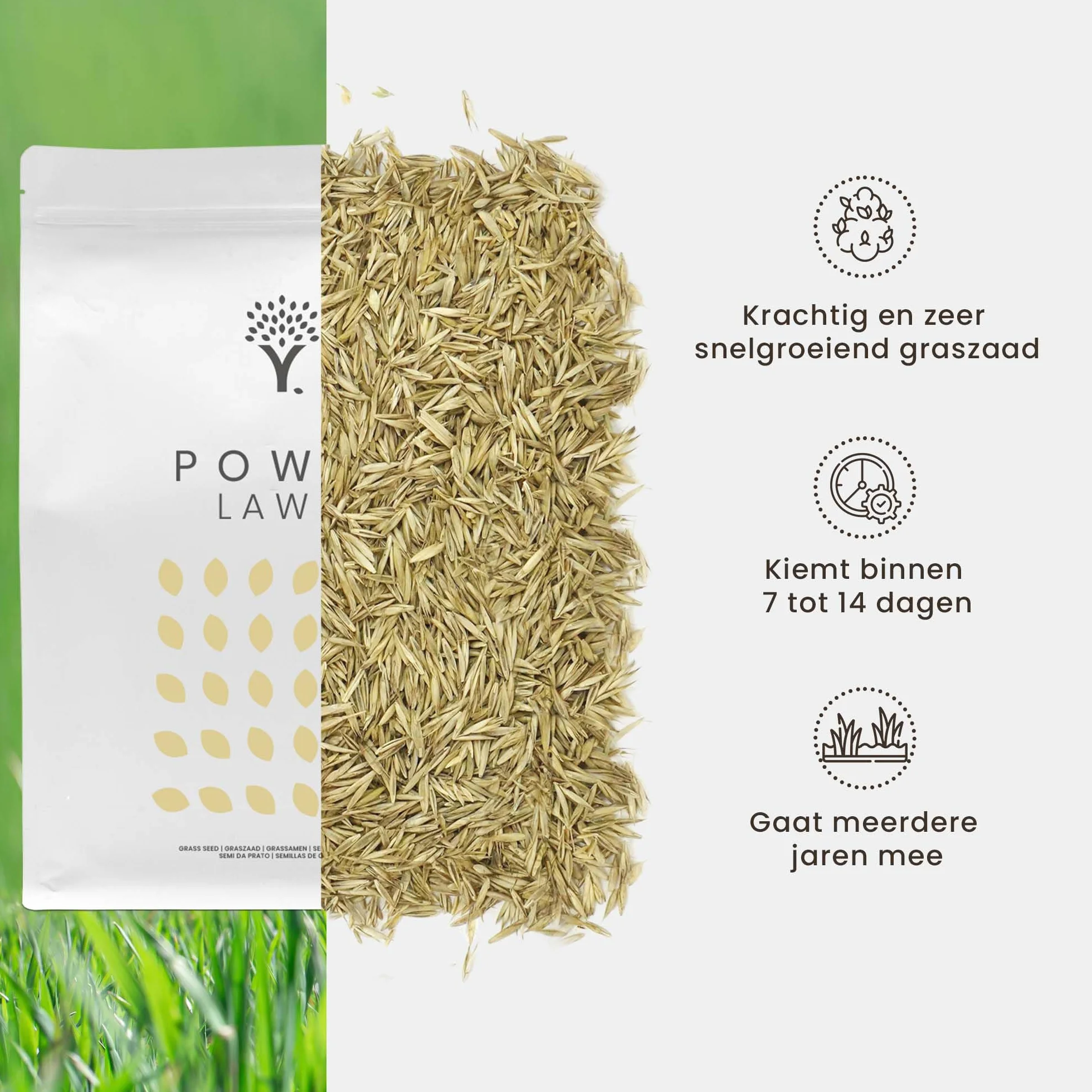 MOOWY Power Lawn Nasiona Trawy 50m² Super Sprężyste Szybko Rosnące