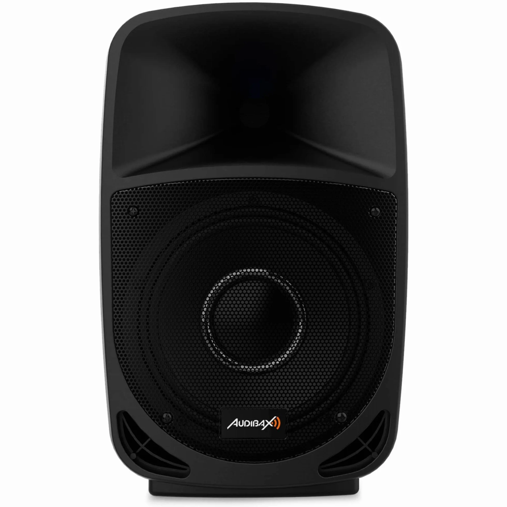 Audibax | VEGAS 10-częściowy głośnik - 10 cali profesjonalny głośnik - 2 możliwości - głośnik Bluetooth z USB/SD - końcówka 250 W - radio FM, kolor czarny - wymiary 300 x 295 x 550 mm