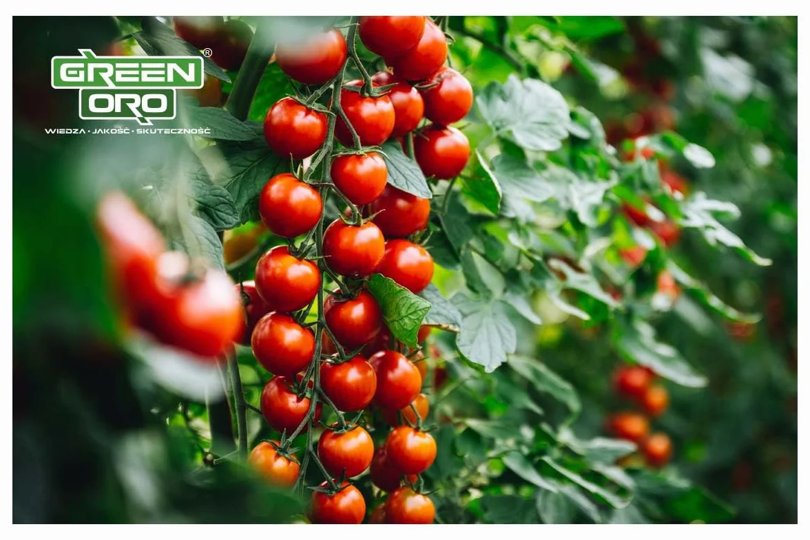 Nawóż do pomidorów 5 kg – TOMATO POWER Długotrwałe działanie do 100 dni