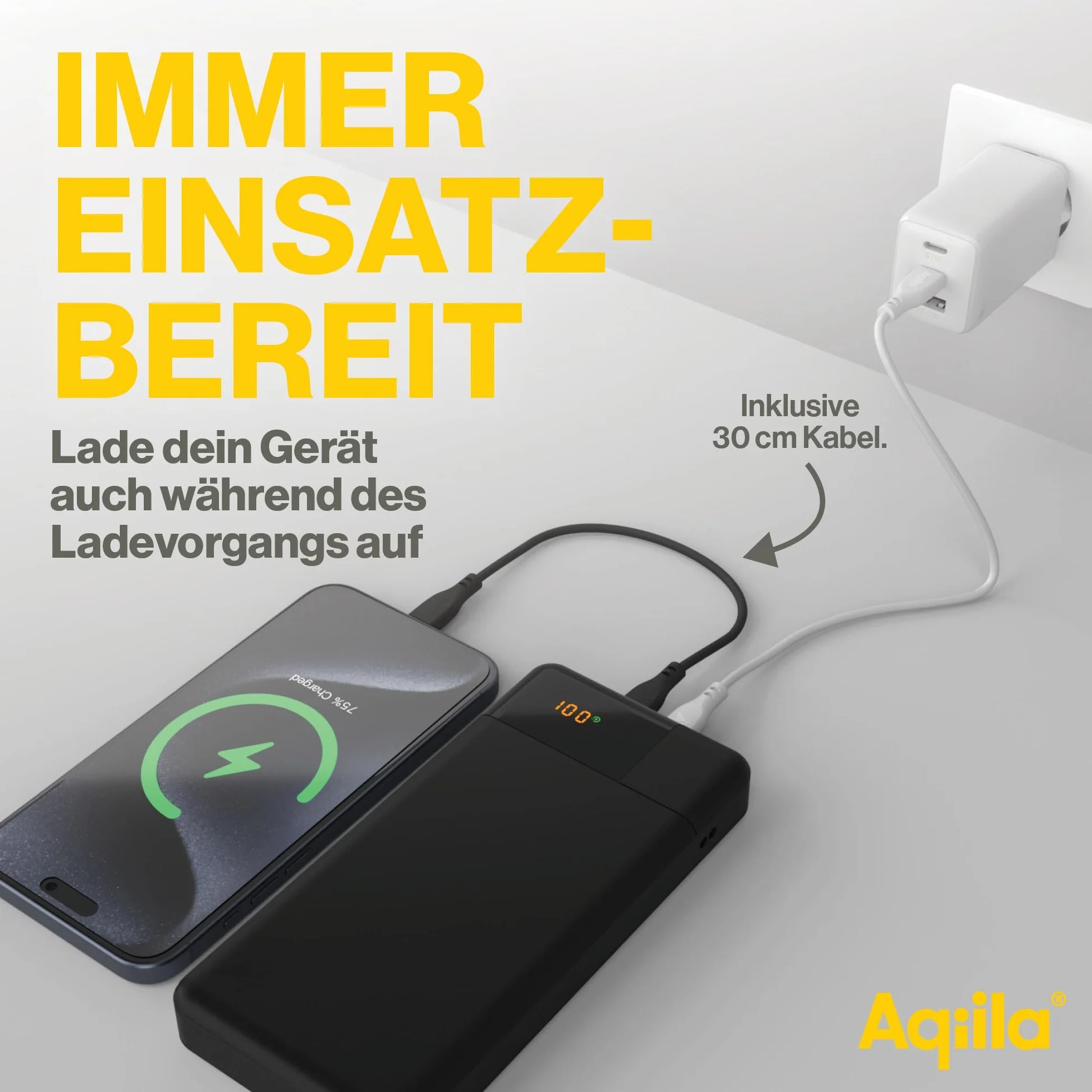 Powerbank 20 000 mAh, wyświetlacz LED, 2 x USB-C, 1 x USB-A, przenośna ładowarka 65 W, PD do telefonów i laptopów, ładowanie Pass-Through, powierzchnia Soft-Touch, Powerbird czarny w opakowaniu
