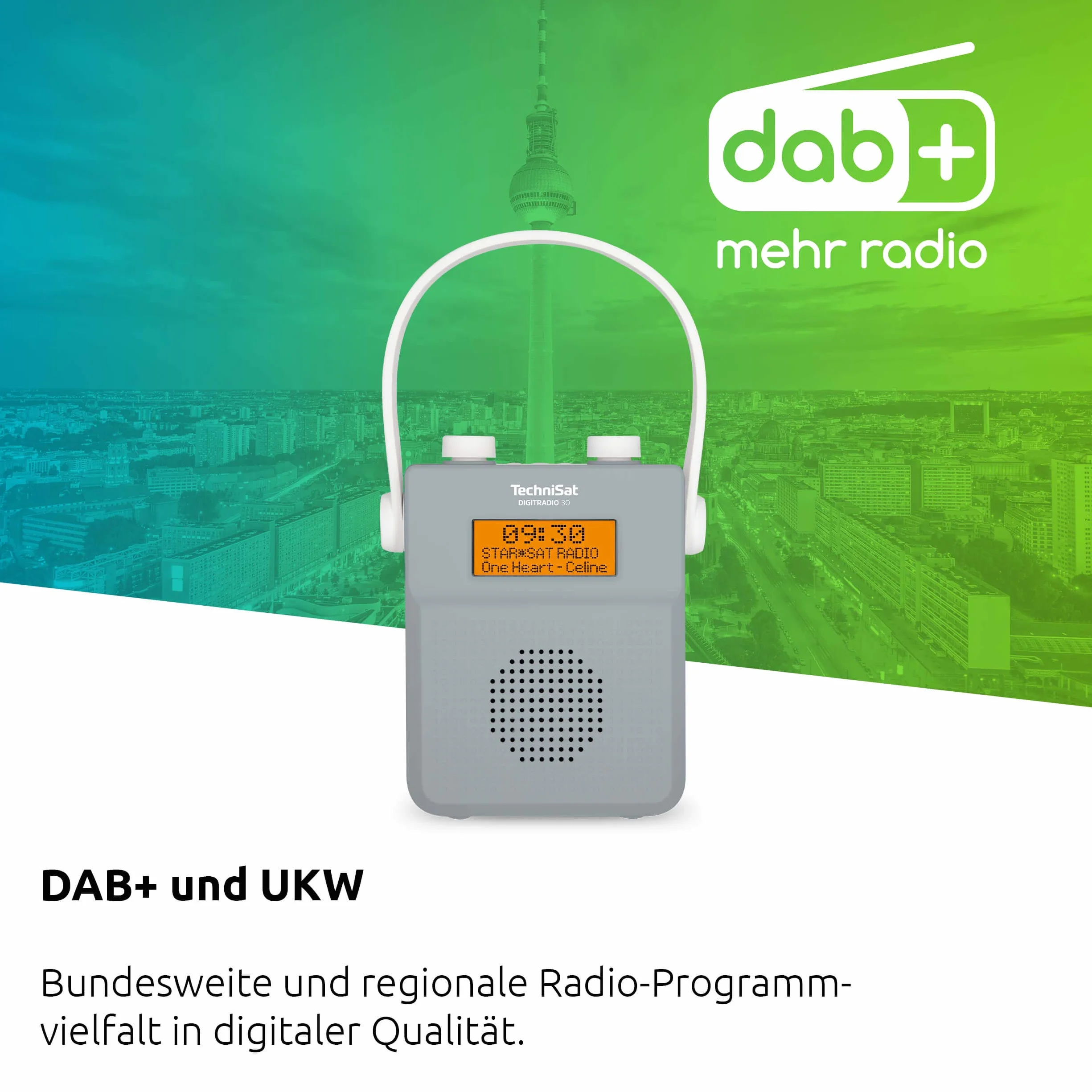 Technisat Digitradio 30 0000/3955 Radio Prysznicowe Dab, Szary, 2 W