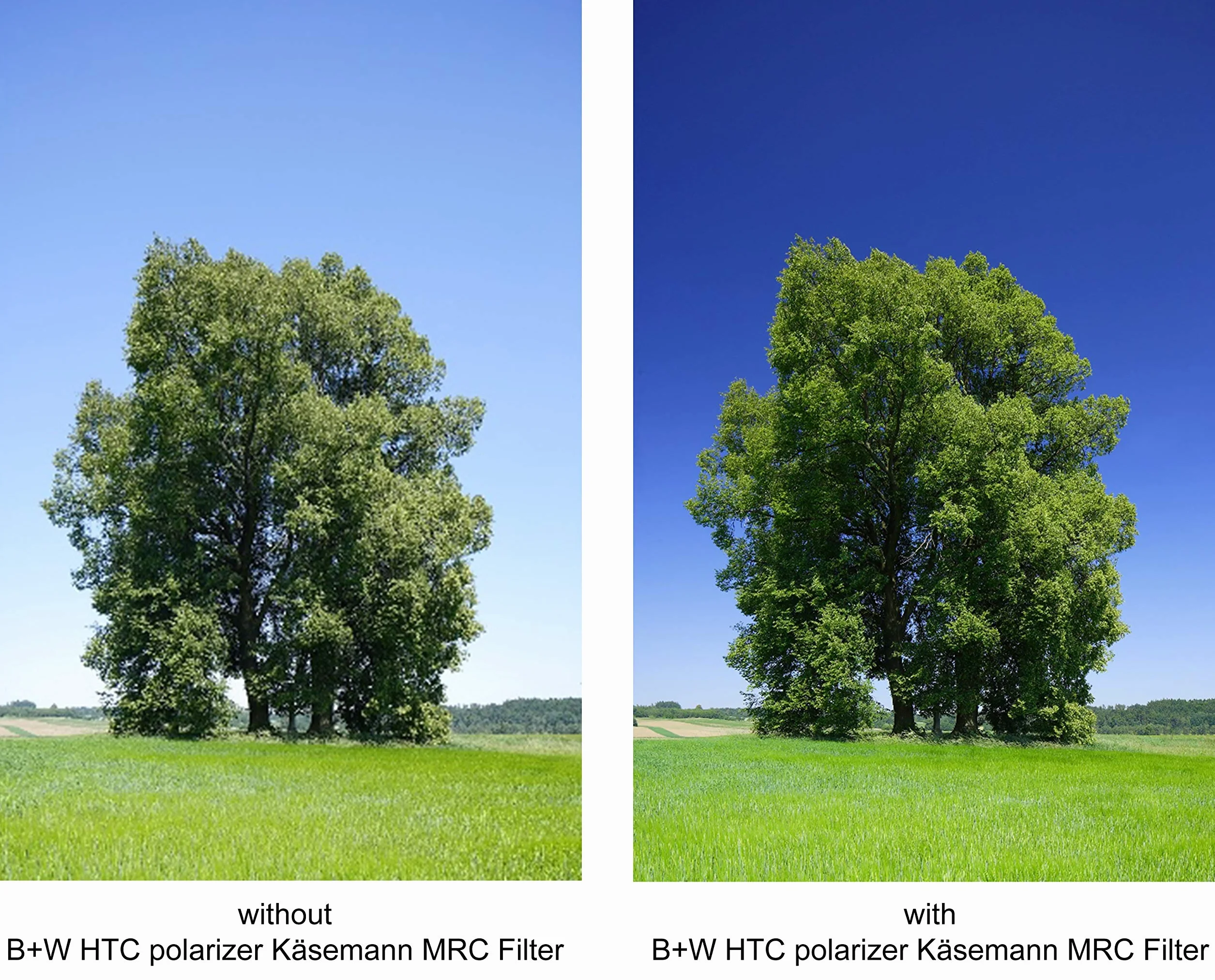 B+W Podstawowy filtr polaryzacyjny MRC 77 mm - zamiennik F-Pro 66-1081902
