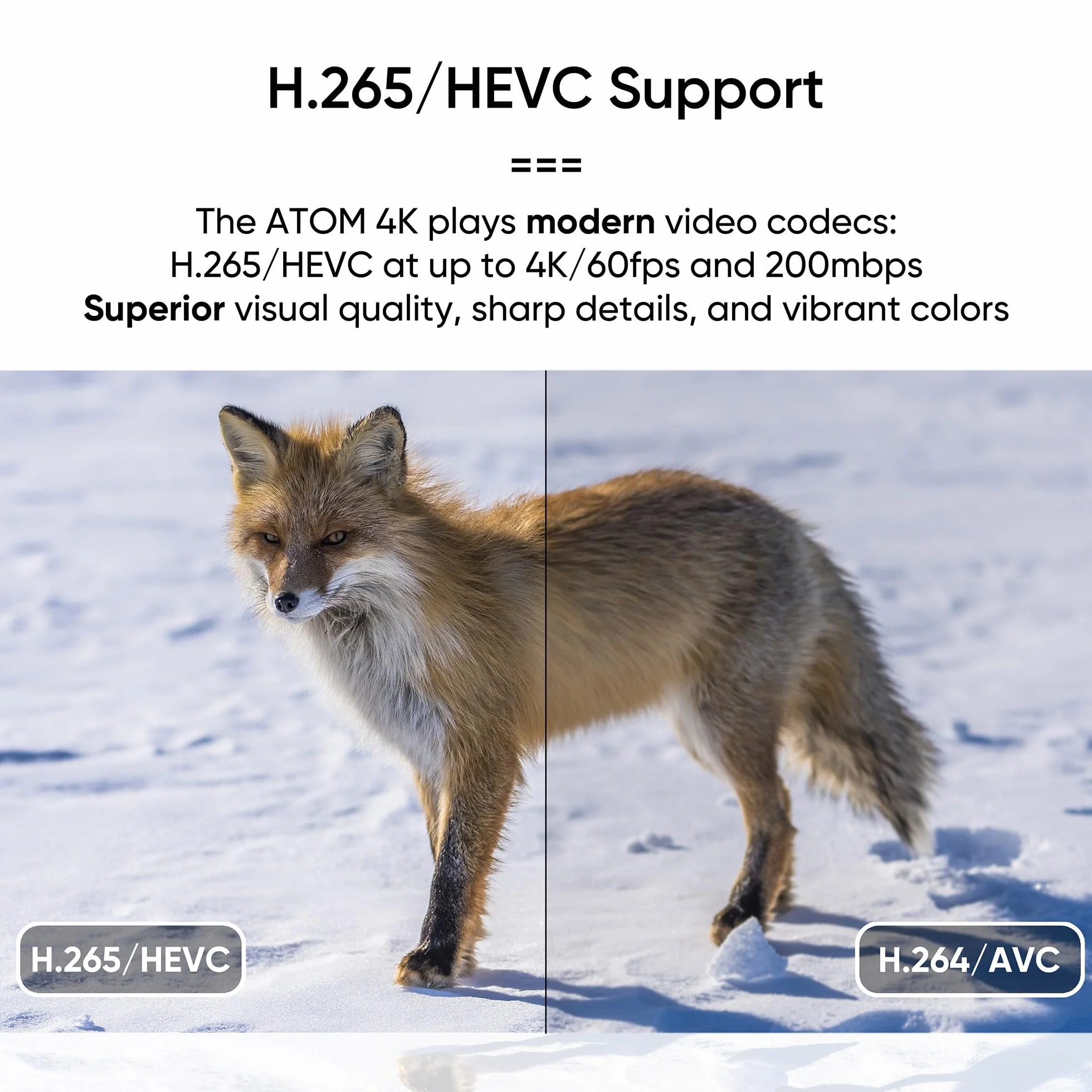 NEUMI Atom 4K Ultra HD cyfrowy odtwarzacz multimedialny do dysków USB i kart SD – z HDMI i analogowym AV, automatyczne odtwarzanie i zapętlanie