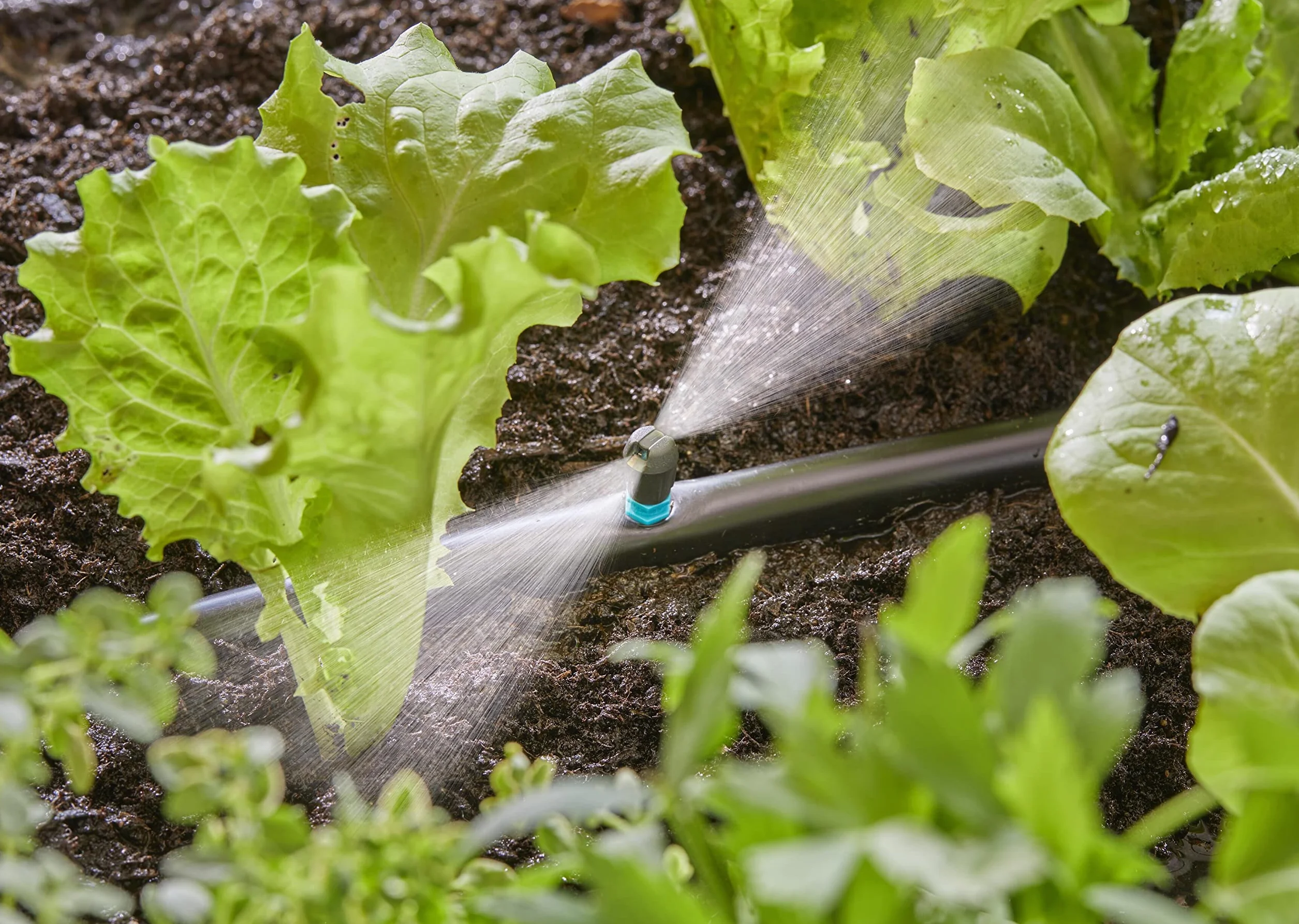 Gardena system Micro-Drip dysza pasmowa: Dysza rozpylająca do systemu nawadniania, do wąskich podłużnych powierzchni maks. 0,6 x 5,5 m, prosta technika połączeniowa (13319-20)