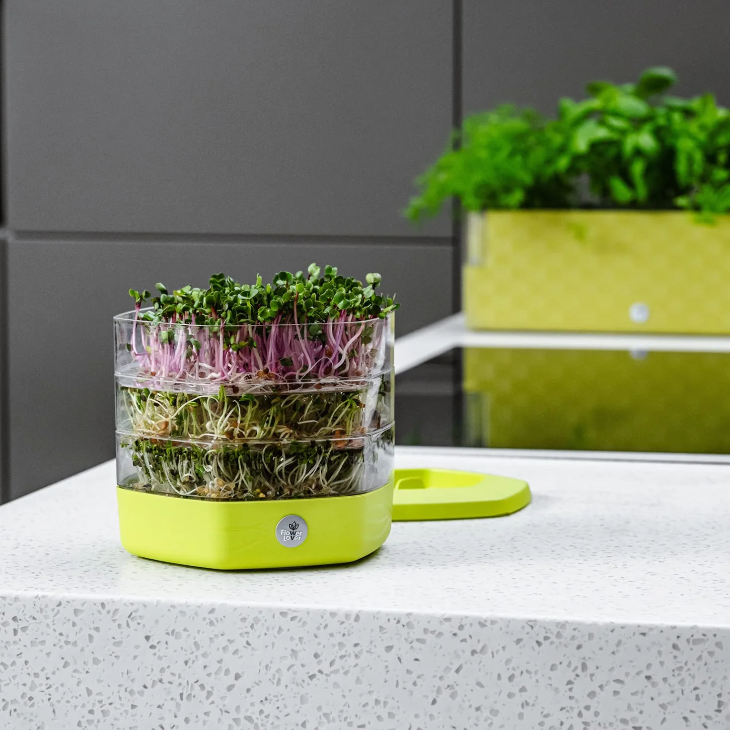 Zestaw Tac do Kiełkowania z 3 Poziomami, ø 17 cm - Wieża do Kiełków, Rzeżuchy, Mikrogreenów - Designerskie Sito z Wysokiej Jakości Tworzywa Sztucznego (Szary)