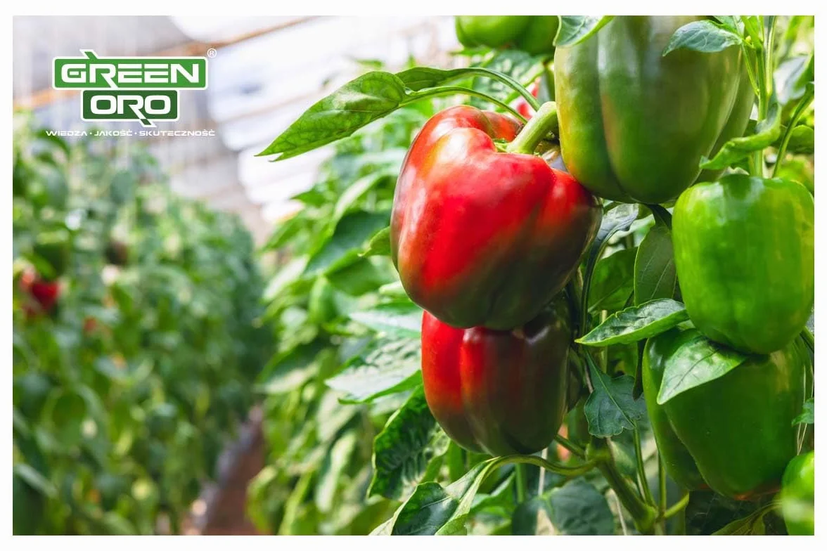 Nawóż do pomidorów 5 kg – TOMATO POWER Długotrwałe działanie do 100 dni